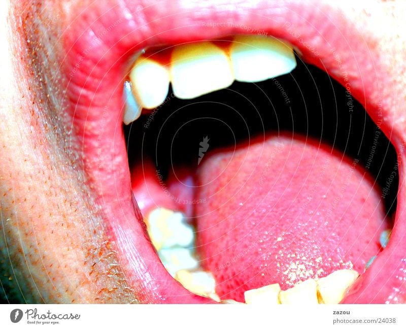 Erdbeermund Lippen Makroaufnahme Nahaufnahme Mund Zunge Gesicht Zähne