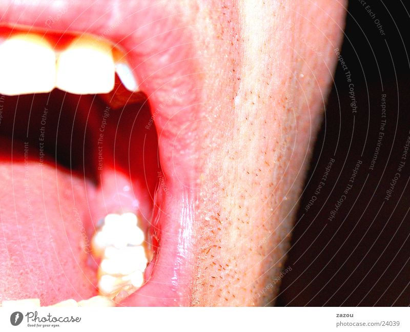 Shout! Lippen Makroaufnahme Nahaufnahme Mund Zunge Gesicht Mensch Zähne