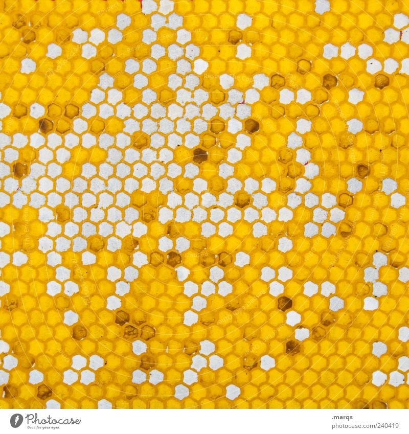 Polygon Stil Design Zeichen Wabe Wabenmuster viele gelb Farbe Ordnung skurril Farbfoto abstrakt Muster Strukturen & Formen Menschenleer außergewöhnlich