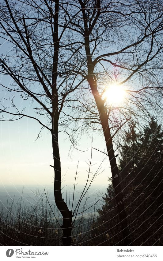 Teutonia Ausflug Ferne Freiheit Berge u. Gebirge Umwelt Natur Landschaft Luft Himmel Wolkenloser Himmel Horizont Herbst Klima Schönes Wetter Baum Sträucher Wald