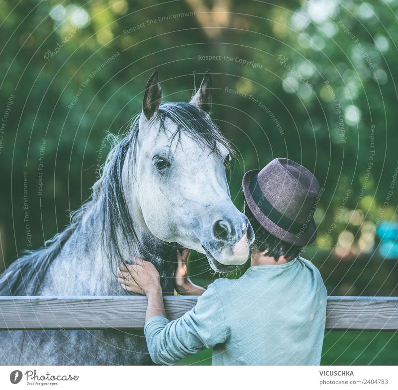 Junger Mann mit seinem Pferd Design Sommer Mensch Jugendliche Natur Tier Liebe Gefühle Farbfoto Außenaufnahme Textfreiraum oben Tag