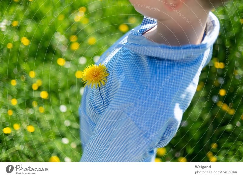 Frühlings-Souvenier harmonisch Kindergarten Schulkind Kleinkind Mädchen Junge Kindheit 1 Mensch 3-8 Jahre träumen Freundlichkeit Fröhlichkeit frisch gelb grün