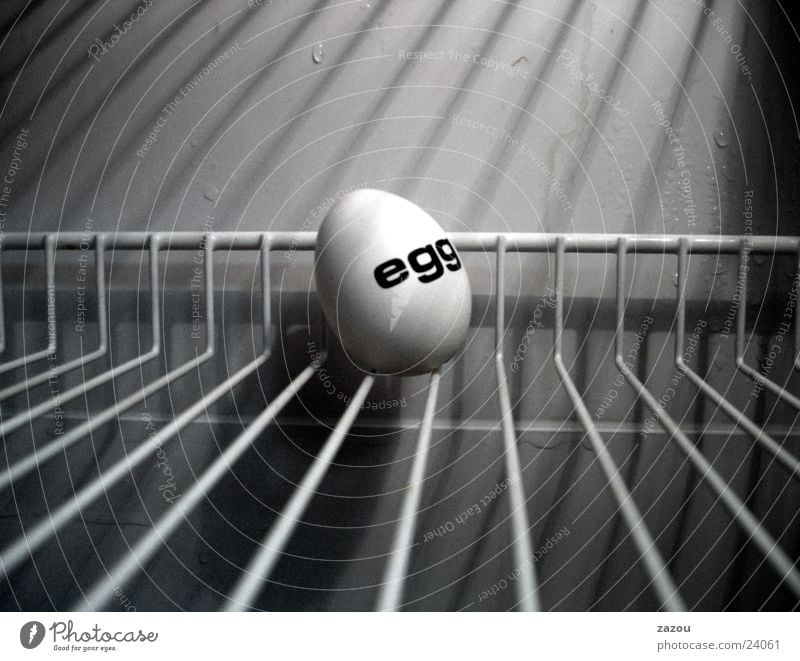 Das gefangene Ei kalt Kunst Skulptur Kühlschrank Eierschale Gitter Ostern Osterei Hoffnung Ernährung Justizvollzugsanstalt egg Nahaufnahme