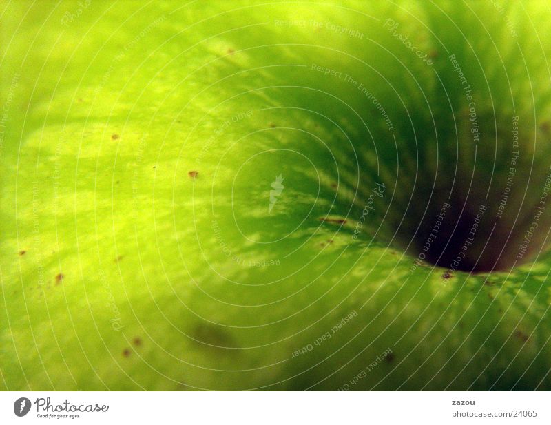 Apple goes pop! grün Vitamin Gesundheit Apfel Makroaufnahme Nahaufnahme Frucht Ernährung