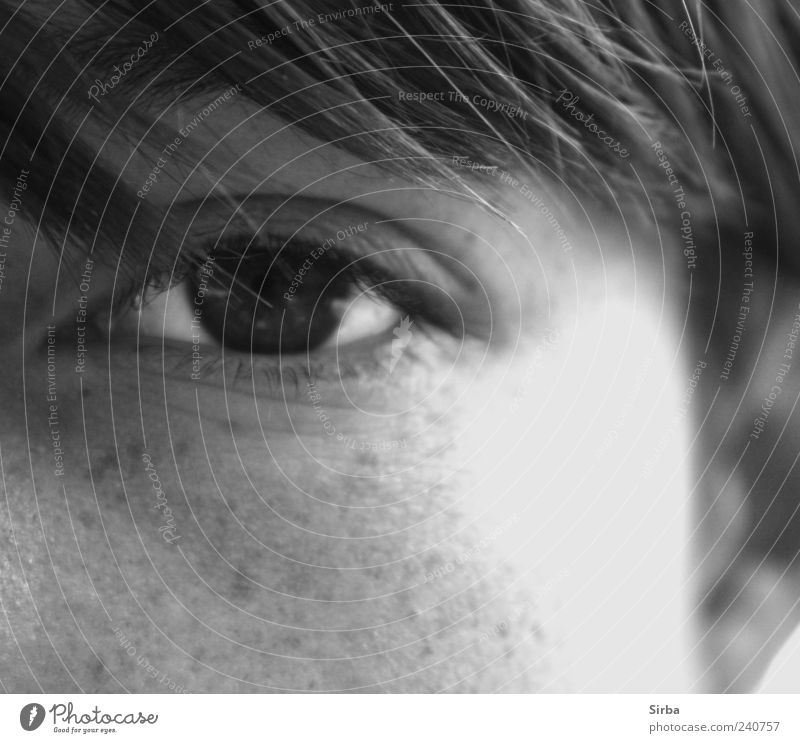 STUR GERADEAUS Mensch Auge schön grau schwarz weiß ruhig Schwarzweißfoto Blick in die Kamera Blick nach vorn Bildausschnitt Gesichtsausschnitt Anschnitt