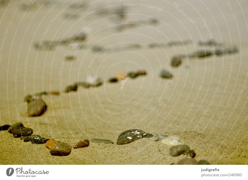Weststrand Umwelt Natur Strand Stein Sand einzigartig Linie Kurve Reihe Farbfoto Gedeckte Farben Außenaufnahme Unschärfe Schlangenlinie außergewöhnlich