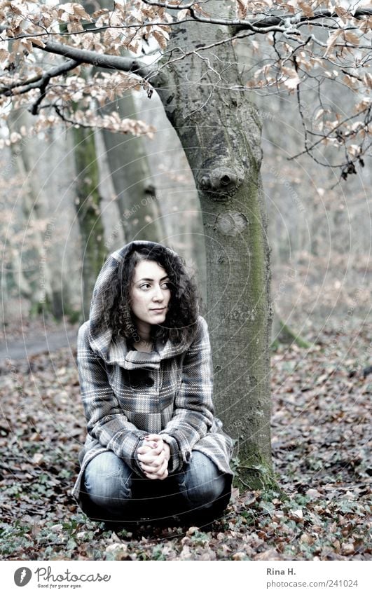 WinterWald ( ein Fräulein sitzt im Walde) Mensch Junge Frau Jugendliche 1 18-30 Jahre Erwachsene Natur Baum Blatt Jeanshose Mantel Kapuze schwarzhaarig