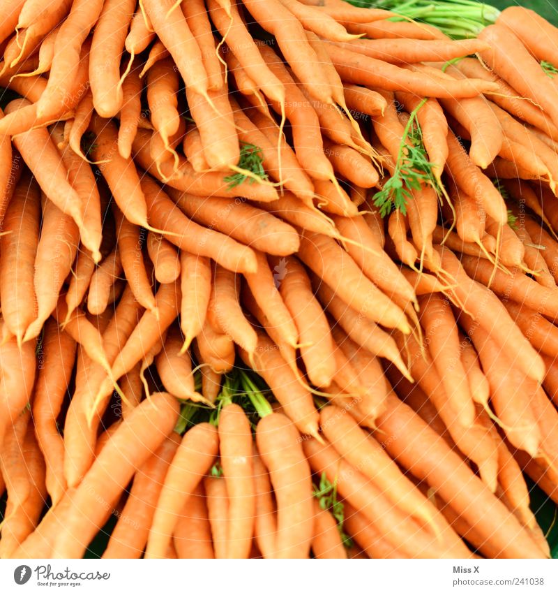Möhrchentag Lebensmittel Gemüse Ernährung Bioprodukte Vegetarische Ernährung lecker Möhre orange Wurzelgemüse Ernte Wochenmarkt Gemüsemarkt