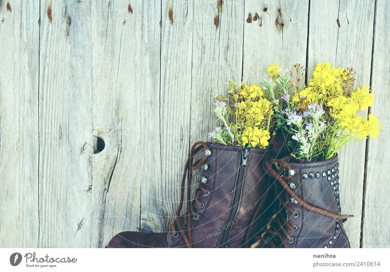 Alte Stiefel mit Blumenfüllung auf Holzuntergrund Natur Pflanze Wildpflanze Topfpflanze Mode Bekleidung Leder alt ästhetisch authentisch einfach frisch Billig
