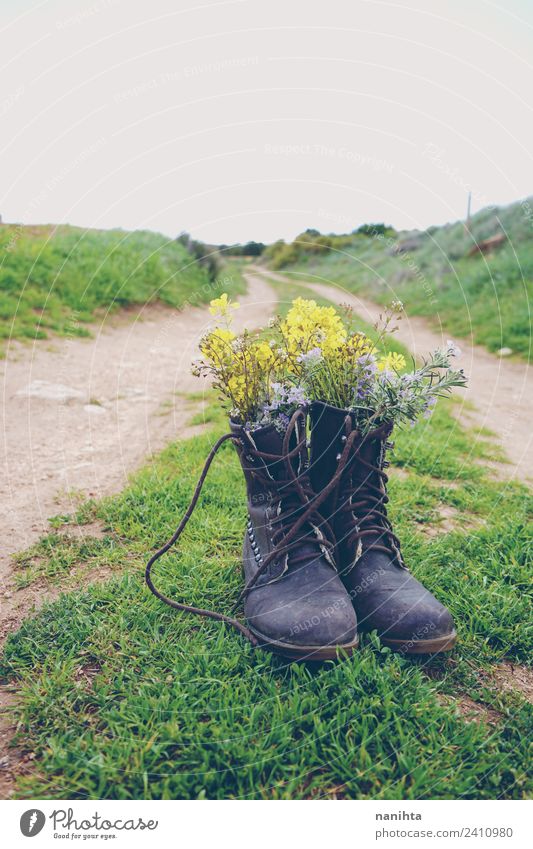 Stiefel gefüllt mit Blumen auf einem ländlichen Weg Stil Design Umwelt Natur Landschaft Pflanze Frühling Sommer schlechtes Wetter Unwetter Regen Gras