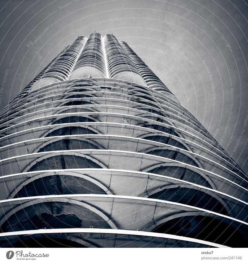 Hochhausknochen Fassade hoch kalt modern grau Chicago Beton rund Strukturen & Formen Schwarzweißfoto Außenaufnahme Menschenleer Froschperspektive Architektur