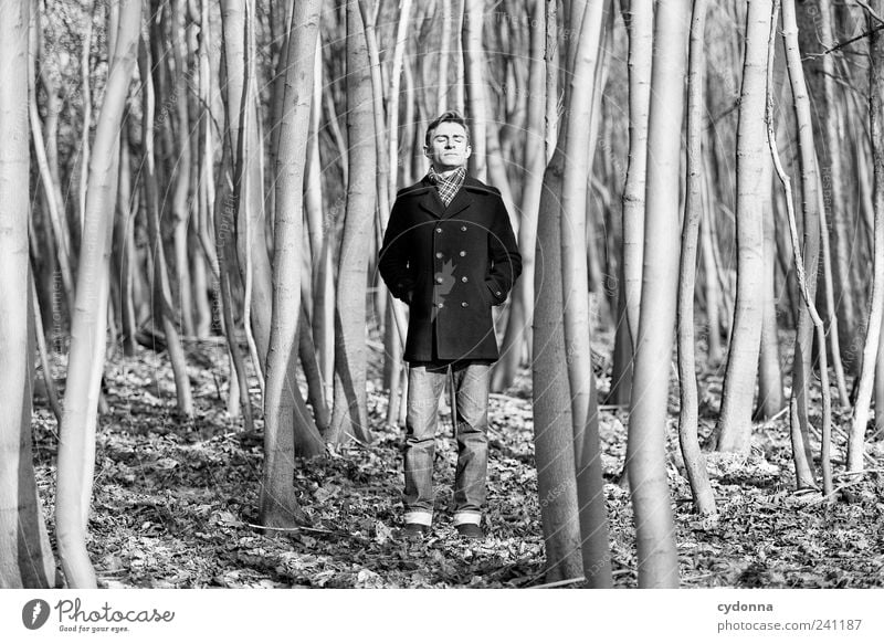 Still stehen elegant Wohlgefühl Erholung ruhig Freiheit wandern Mensch Junger Mann Jugendliche 18-30 Jahre Erwachsene Umwelt Natur Baum Wald Mantel Einsamkeit
