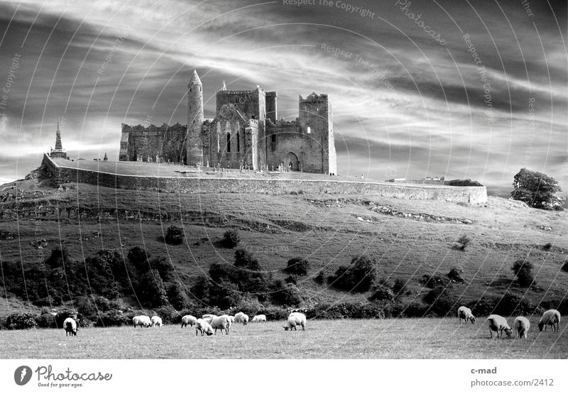 Rock of Cashell in Irland Wolken Wiese Schaf Gras Stimmung Bauwerk Hügel Republik Irland rasenmähen Schwarzweißfoto Burg oder Schloss Kloster Berge u. Gebirge