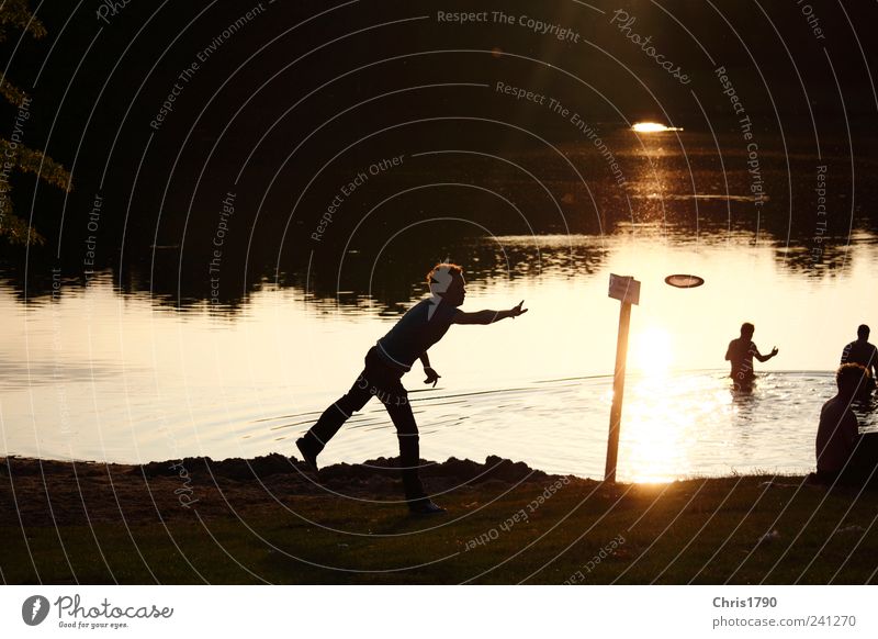 Frisbee mit Licht und Schatten Freude Freizeit & Hobby Sommer Strand See Mensch 4 Wasser Sonnenaufgang Sonnenuntergang Wiese Seeufer Schwimmen & Baden Bewegung