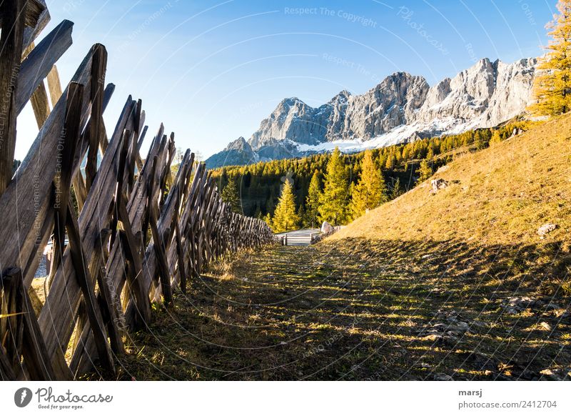 Einfach dem Zaun entlang harmonisch ruhig Ferien & Urlaub & Reisen Tourismus Ausflug Berge u. Gebirge wandern Natur Herbst Schönes Wetter Dachstein Gipfel