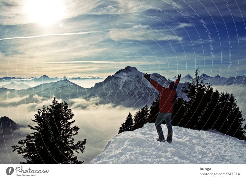 Ovation Abenteuer Freiheit Winter Schnee Winterurlaub wandern Klettern Bergsteigen Mann Erwachsene 1 Mensch Natur Landschaft Nebel Eis Frost Berge u. Gebirge