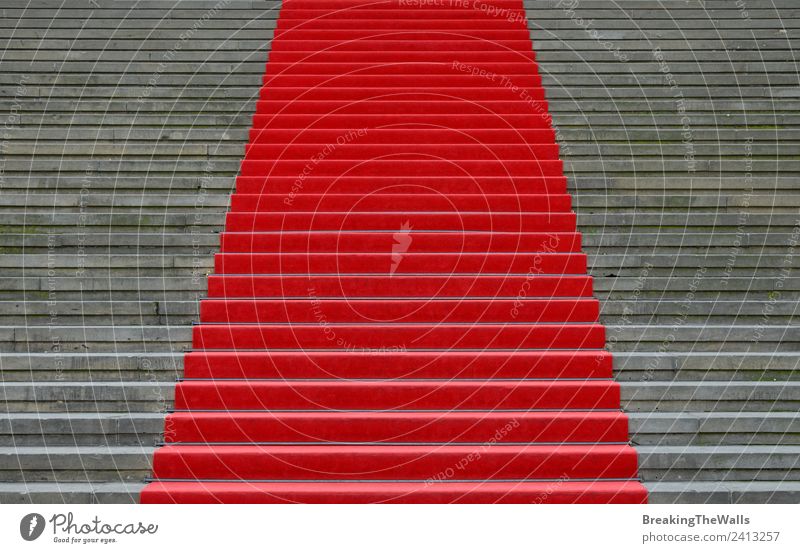 Nahaufnahme des roten Teppichs über der grauen Betontreppe Design Feste & Feiern Stadt Bauwerk Gebäude Architektur Treppe Stein Perspektive Symmetrie Wachstum
