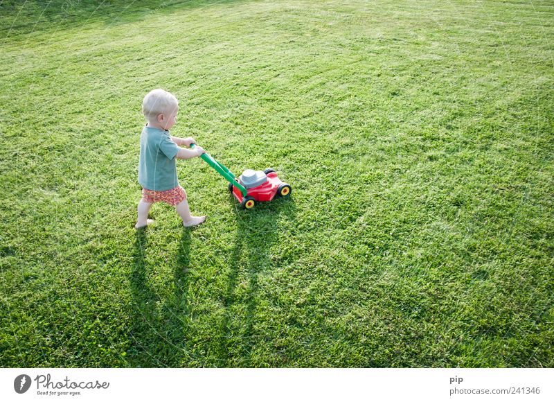 rasend mähen Rasenmäher maskulin Kind Kleinkind Arme Beine 1 Mensch 1-3 Jahre Gras Garten Wiese T-Shirt Shorts Spielen klein lustig grün Leben Kindheit einzeln