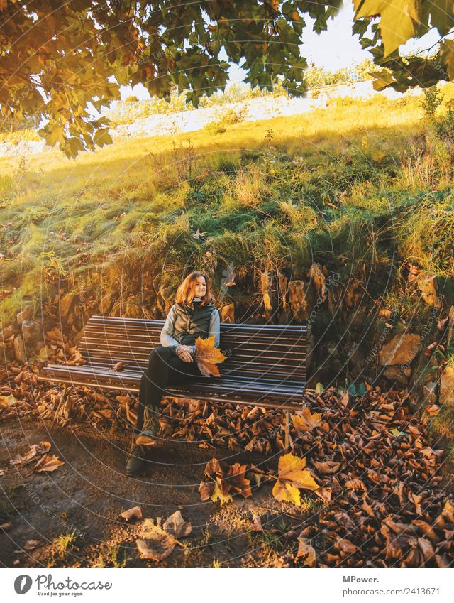 pause Mensch feminin Frau Erwachsene 1 18-30 Jahre Jugendliche Umwelt Natur Park sitzen Herbst Blatt Herbstfärbung Erholung Abendsonne Baum gold Farbfoto