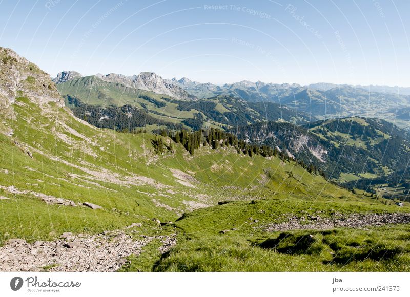 Blick zurück Glück Freizeit & Hobby Ausflug Sommer Berge u. Gebirge Natur Landschaft Urelemente Luft Himmel Schönes Wetter Gras Alpenwiese Felsen Staldenhorn