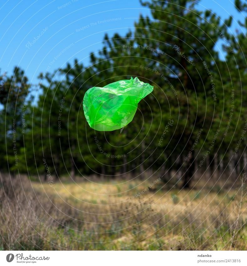 Müllsackfliegen Sommer Umwelt Natur Landschaft Wind Baum Wald Kunststoffverpackung Sack natürlich Sauberkeit blau grün Umweltverschmutzung Umweltschutz Tasche