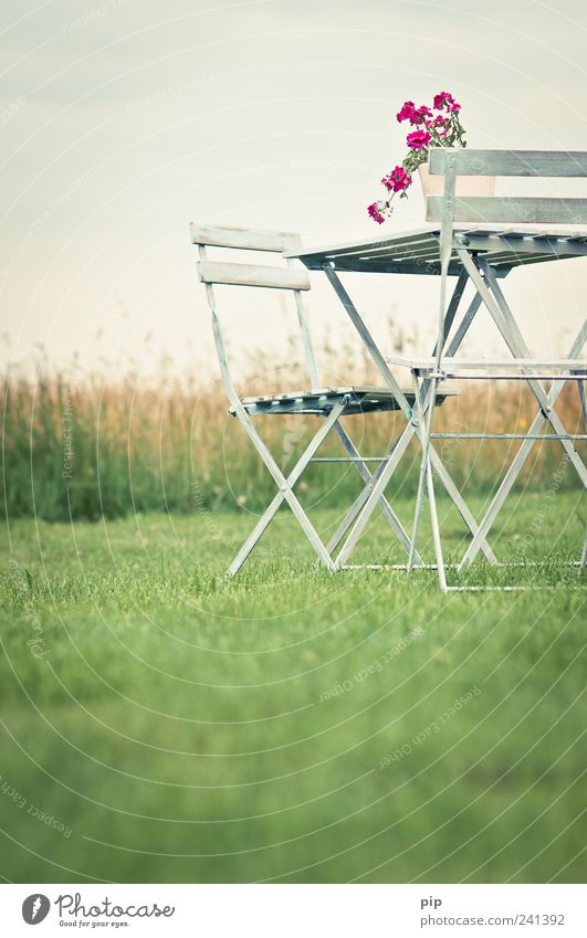 biergartenstühle ohne bier Stuhl Tisch Landschaft Himmel Sommer Gras Garten Wiese Einsamkeit Idylle 2 Blume Topfpflanze rosa grün schlechtes Wetter retro