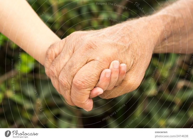 Die Hände eines Großvaters und seines Enkelsohnes Lifestyle Kind Junge Eltern Erwachsene Familie & Verwandtschaft Kindheit Hand alt Liebe Zusammensein klein