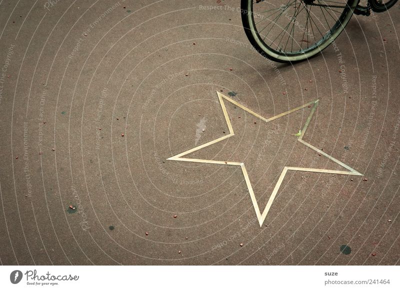 Radstar Lifestyle Stil Freizeit & Hobby Fahrrad Gold stehen Bekanntheit braun Stern (Symbol) Boden Hollywood Pause unterwegs umweltfreundlich