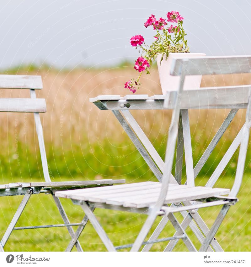 ruhe Stuhl Tisch Gartenmöbel Umwelt Natur Landschaft Sommer Schönes Wetter Pflanze Blume Gras Topfpflanze Wiese Feld grün rosa weiß Erholung Frieden Idylle