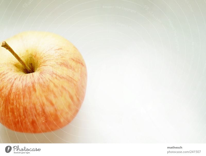 sam sung Lebensmittel Frucht Apfel Bioprodukte saftig süß Farbfoto Innenaufnahme Menschenleer Textfreiraum rechts Hintergrund neutral Tag