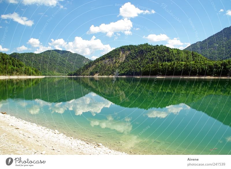 Spiegelberge Himmel See Stausee Wolken Spiegelung Sommer Wald Alpen ästhetisch blau grün weiß ruhig schön Symmetrie Seeufer Reflexion & Spiegelung unberührt