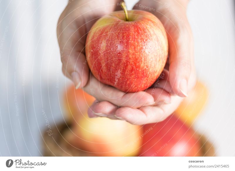 Weibliche Hände, die einen Apfel anbieten. Frucht Lifestyle Glück schön Sommer Frau Erwachsene Hand Natur frisch hell natürlich grün rot weiß Hintergrund Korb