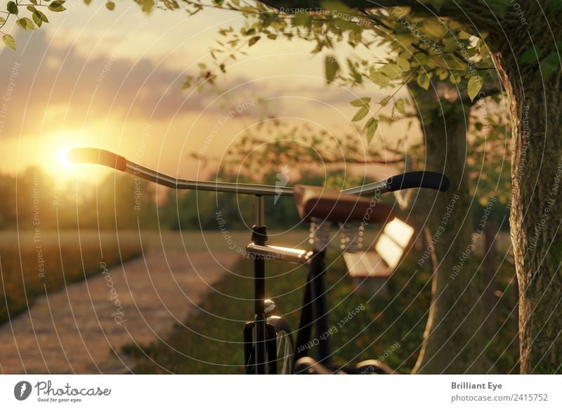 Fahrrad in der Abendsonne Ferien & Urlaub & Reisen Ausflug Sommer Sonne Sport Fahrradfahren Natur Landschaft Sonnenaufgang Sonnenuntergang Sonnenlicht Baum