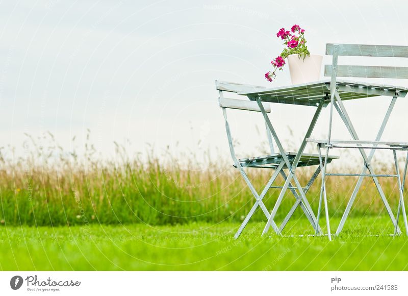 iDülle Stuhl Tisch Gartenmöbel Natur Landschaft Pflanze Sommer Blume Gras Topfpflanze Wiese Feld grün rosa Erholung Idylle ruhig Umwelt ländlich Sitzgarnitur 2