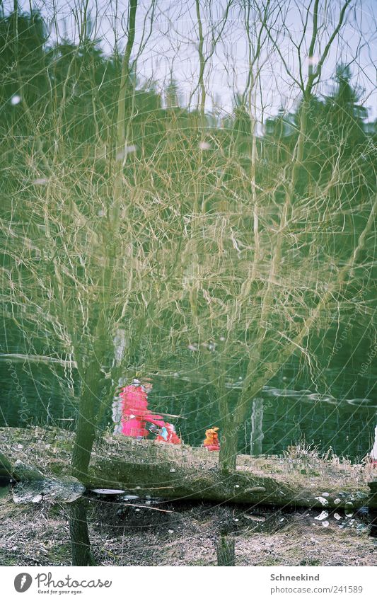 Wandertag Mensch Umwelt Natur Pflanze Tier Baum Park entdecken verdreht Spaziergang Wald See Wasser rosa Farbfoto Außenaufnahme Tag Reflexion & Spiegelung