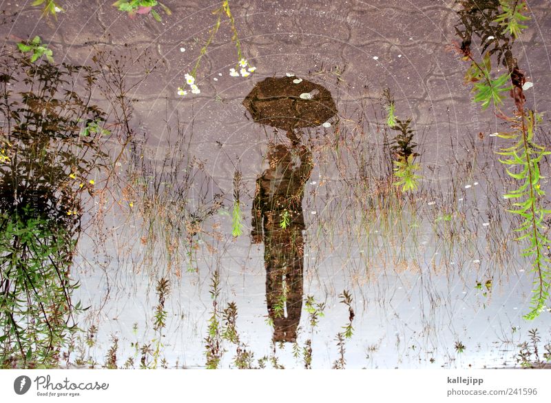 mary poppins Mensch maskulin 1 Umwelt Natur Landschaft Wolken Klima Wetter Regen Regenschirm springen Pfütze Wasser Fliege Schweben Farbfoto mehrfarbig