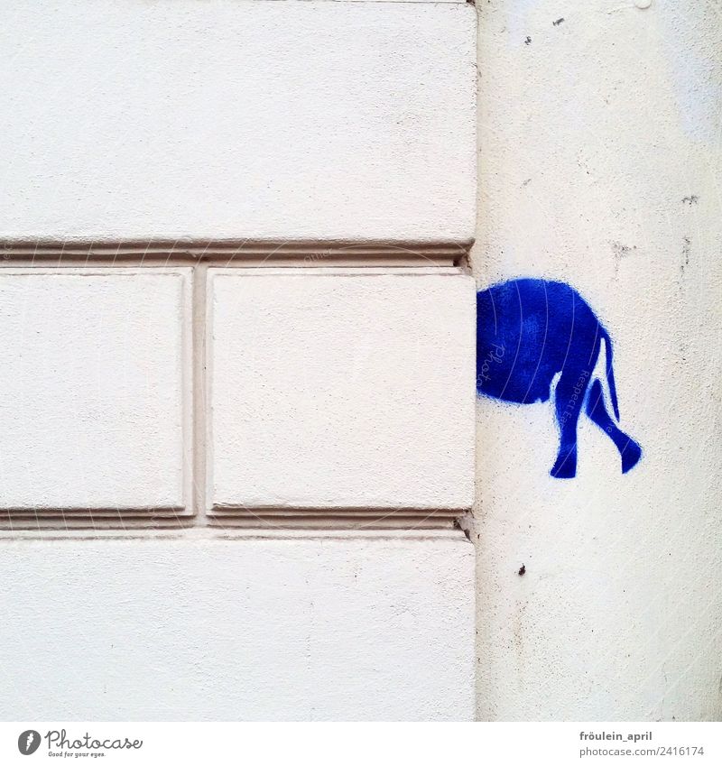 Wohin des Weges? Design Kunst Grafik u. Illustration Stencil Mauer Wand Elefant Stein Zeichen Graffiti Denken entdecken blau weiß Überraschung ästhetisch