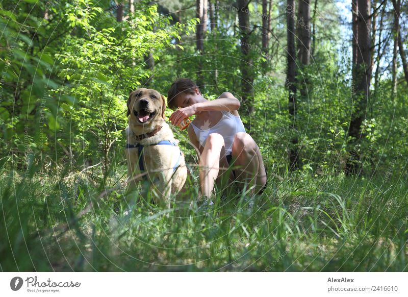blonder Labrador mit Frau auf einer Lichtung Freude schön Erholung Ausflug Abenteuer Junge Frau Jugendliche 18-30 Jahre Erwachsene Natur Pflanze Sommer