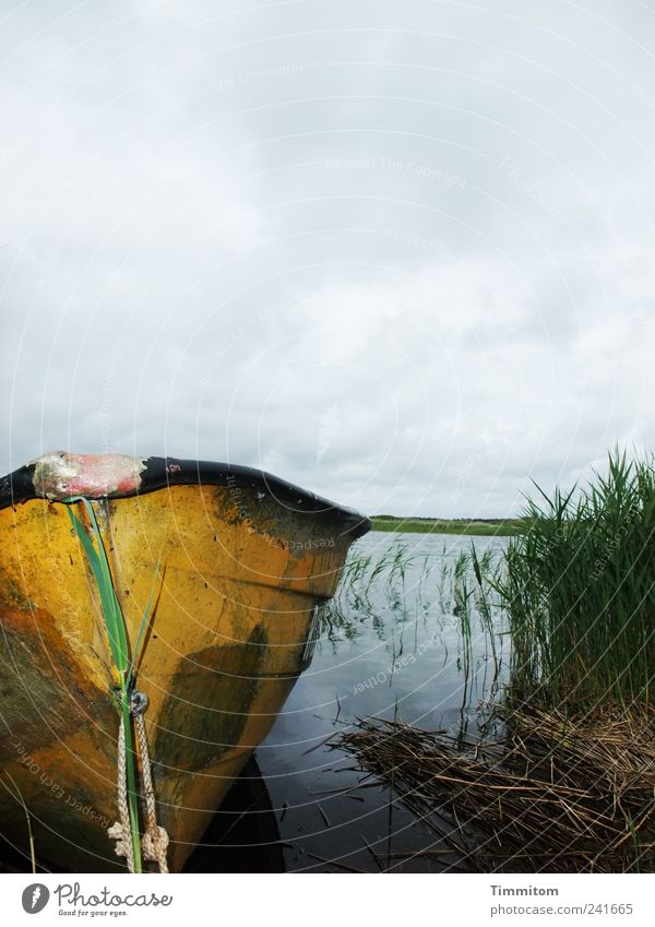 Wenn jetzt Sommer wär! Umwelt Natur Landschaft Pflanze Wasser Himmel Wolken schlechtes Wetter Seeufer Nymindegab Dänemark Ruderboot Wasserfahrzeug Blick
