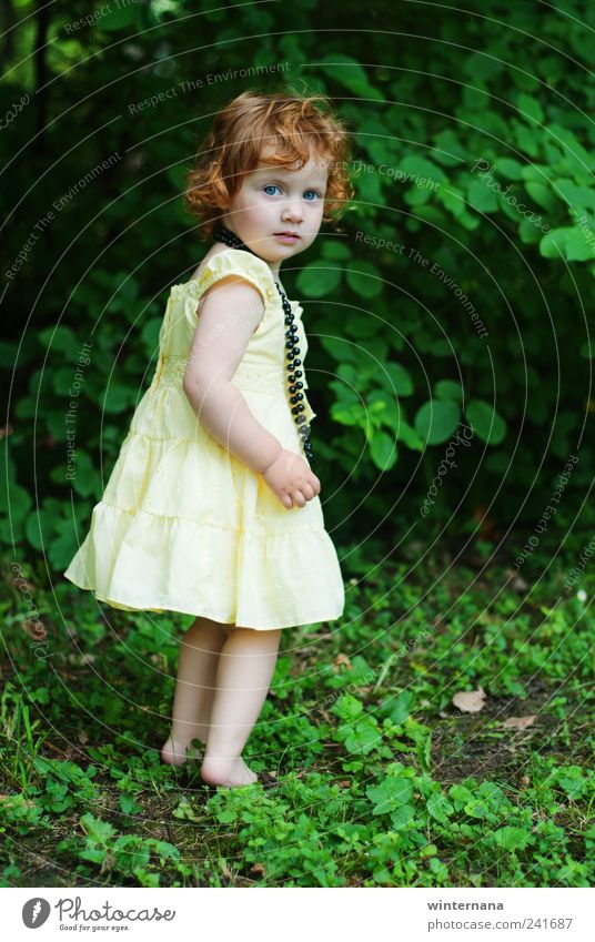 kleine Fee Kind Mädchen 1 Mensch 1-3 Jahre Kleinkind Natur Gras Sträucher Garten Park Kleid gelb grün Beginn einzigartig geheimnisvoll Inspiration Farbfoto