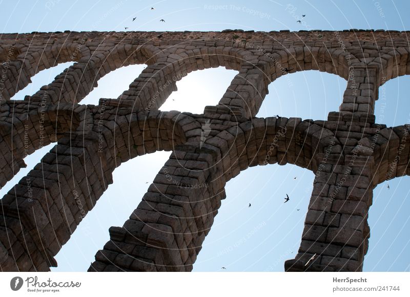 Aquäduktschwalben I Segovia Spanien Sehenswürdigkeit Wahrzeichen Vogel Schwalben Schwarm Stein blau grau Torbogen fliegen Farbfoto Gedeckte Farben Außenaufnahme