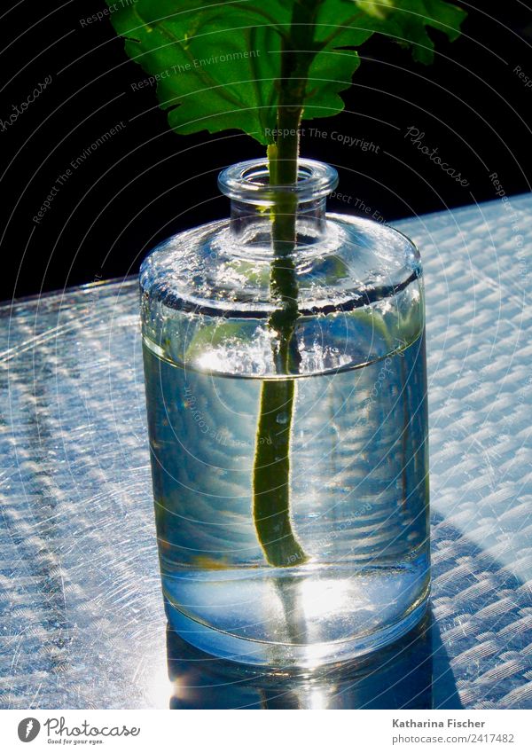 Glasvase auf Metalltisch Dekoration & Verzierung Stahl Kristalle kalt maritim blau grau grün türkis weiß Reflexion & Spiegelung Wasser Blumenvase Stengel