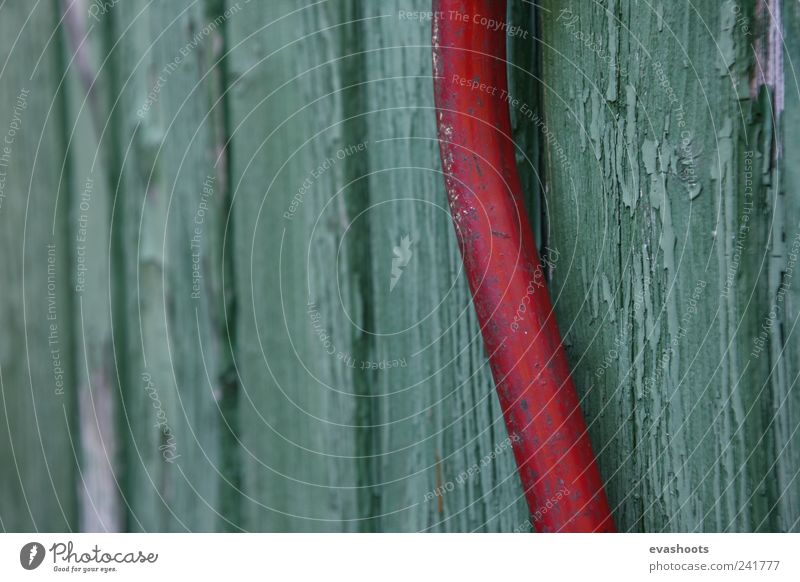 schrebergarten - alte Sachen - grün liebt rot Häusliches Leben Werkzeug Säge Holz Metall ästhetisch dreckig Billig schön Toleranz Farbfoto mehrfarbig