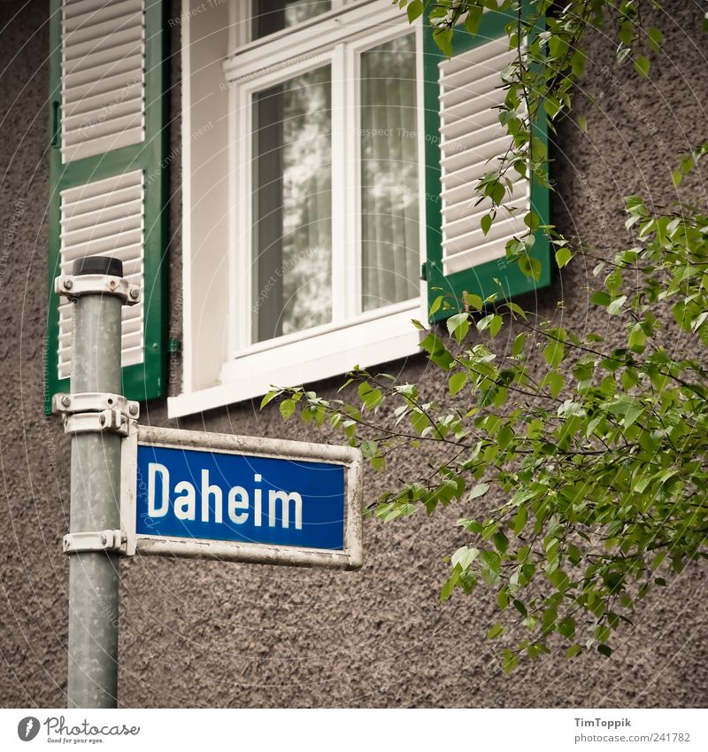 Daheim Haus grün Wohnung Heimat Häusliches Leben Straßennamenschild Fenster Fensterladen Fensterrahmen Heimweh Gardine Wand Schilder & Markierungen Wohnsiedlung