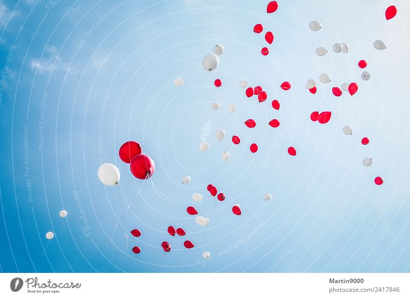 99 Luftballons Glück Feste & Feiern Hochzeit Geburtstag fliegen Liebe blau rot weiß Stimmung Freude Fröhlichkeit Farbfoto Außenaufnahme Textfreiraum oben