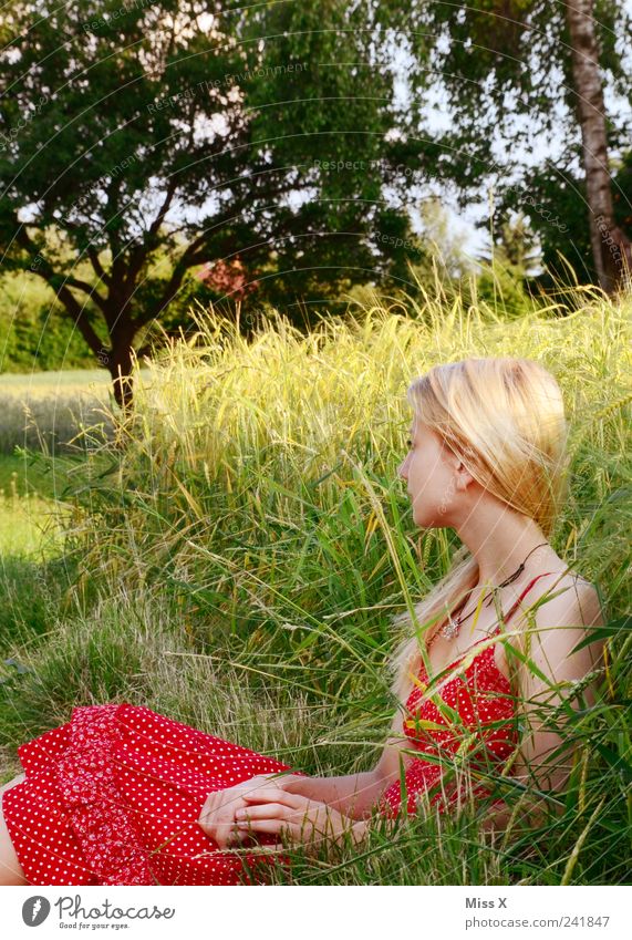 Sommerstimmung Mensch feminin Junge Frau Jugendliche 1 18-30 Jahre Erwachsene Natur Schönes Wetter Gras Feld Kleid blond langhaarig sitzen warten schön rot