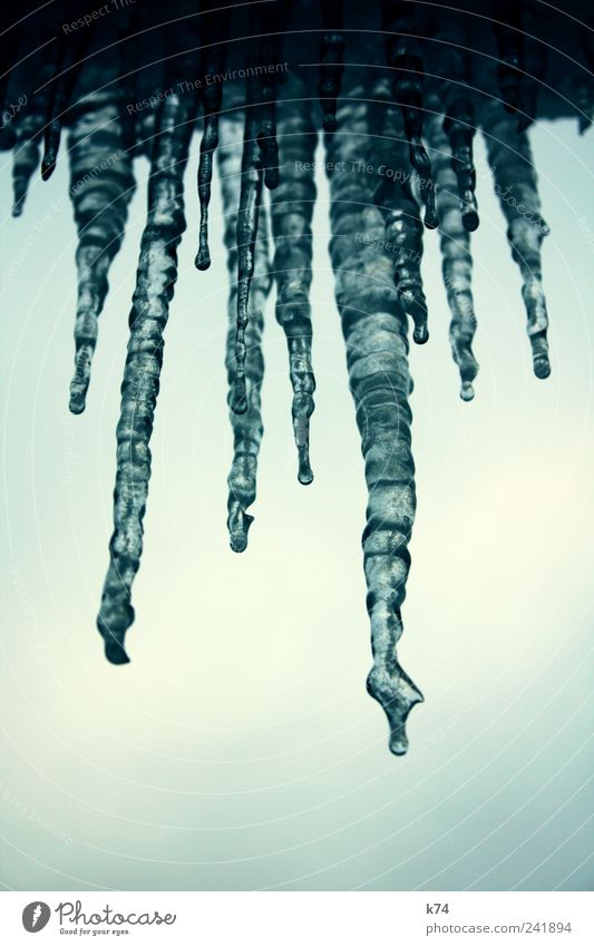 ice Umwelt Natur Eis Frost frieren kalt blau Eiszapfen hängen gefroren Wasser Himmel Farbfoto Gedeckte Farben Außenaufnahme Nahaufnahme Menschenleer