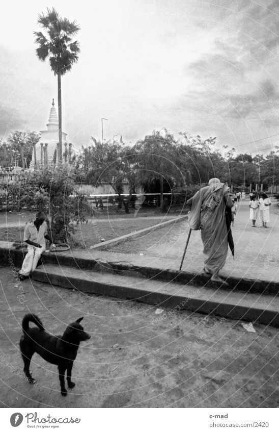 Mönch vor Stupa - Sri Lanka Hund Mensch Schwarzweißfoto