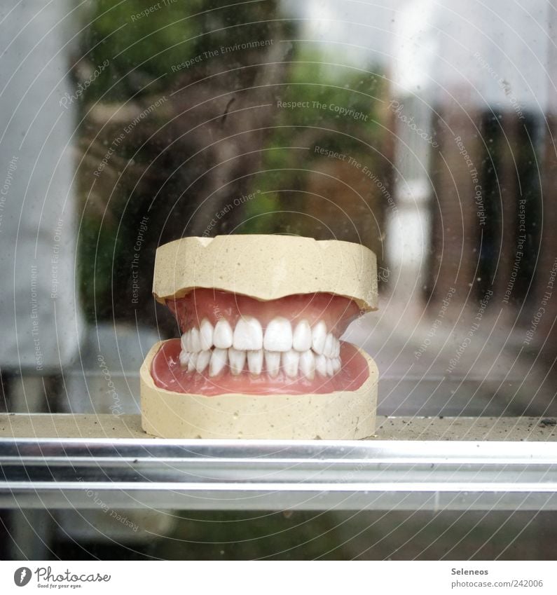 say cheese Zahnarzt Mensch Mund Zähne Kunststoff Lächeln lustig nah weiß Schaufenster Farbfoto Textfreiraum oben Schwache Tiefenschärfe