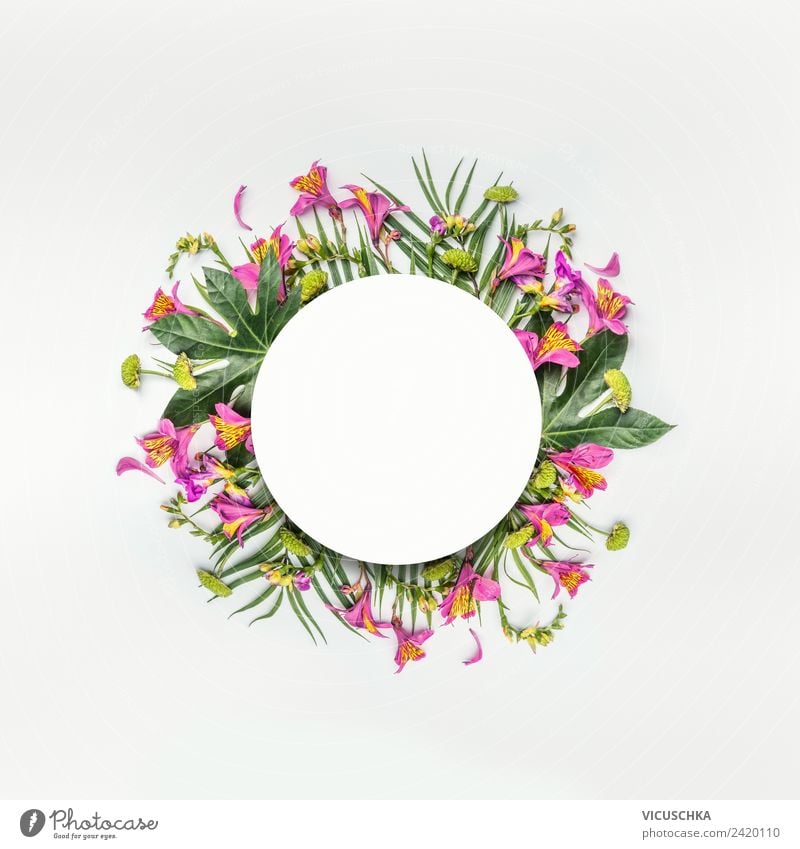 Runde Rahmen mit tropischen Blumen und Blättern Stil Design exotisch Ferien & Urlaub & Reisen Sommer Party Natur Pflanze Farn Blatt Blüte